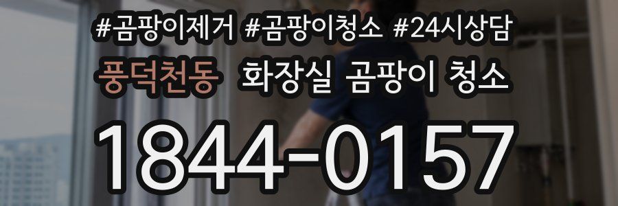 풍덕천동 화장실 곰팡이 청소