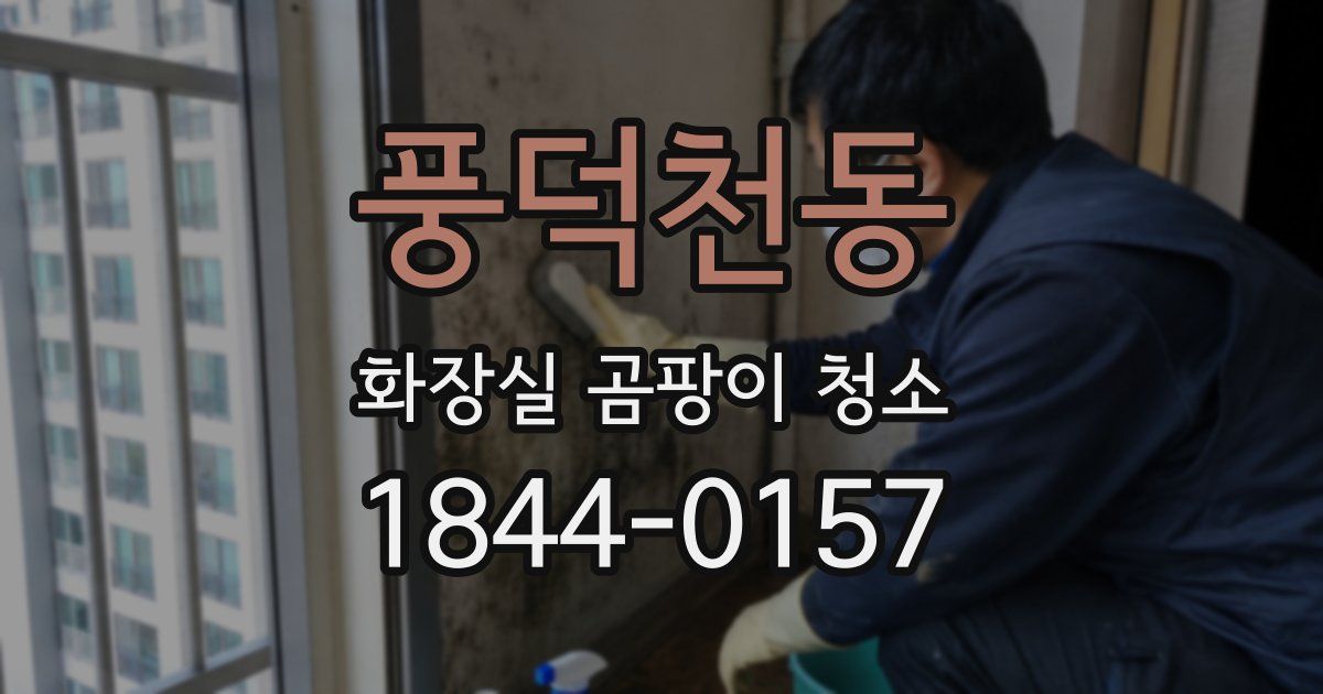 풍덕천동 화장실 곰팡이 청소