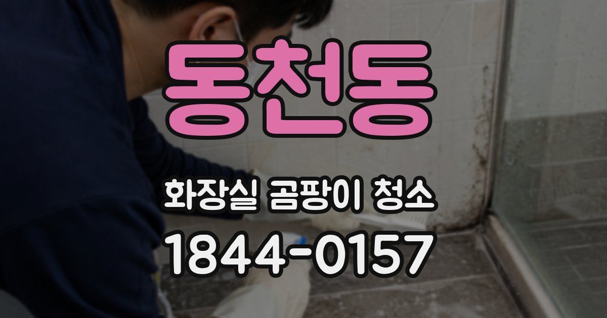동천동 화장실 곰팡이 청소