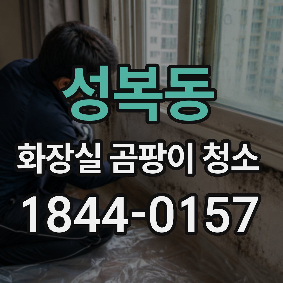 성복동 화장실 곰팡이 청소