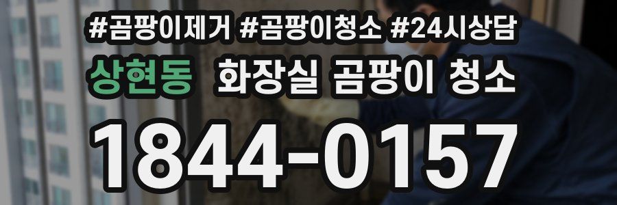 상현동 화장실 곰팡이 청소