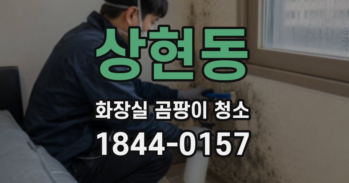 상현동 화장실 곰팡이 청소