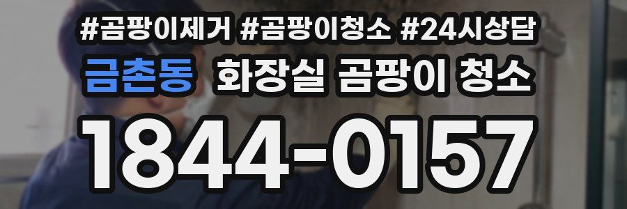 금촌동 화장실 곰팡이 청소