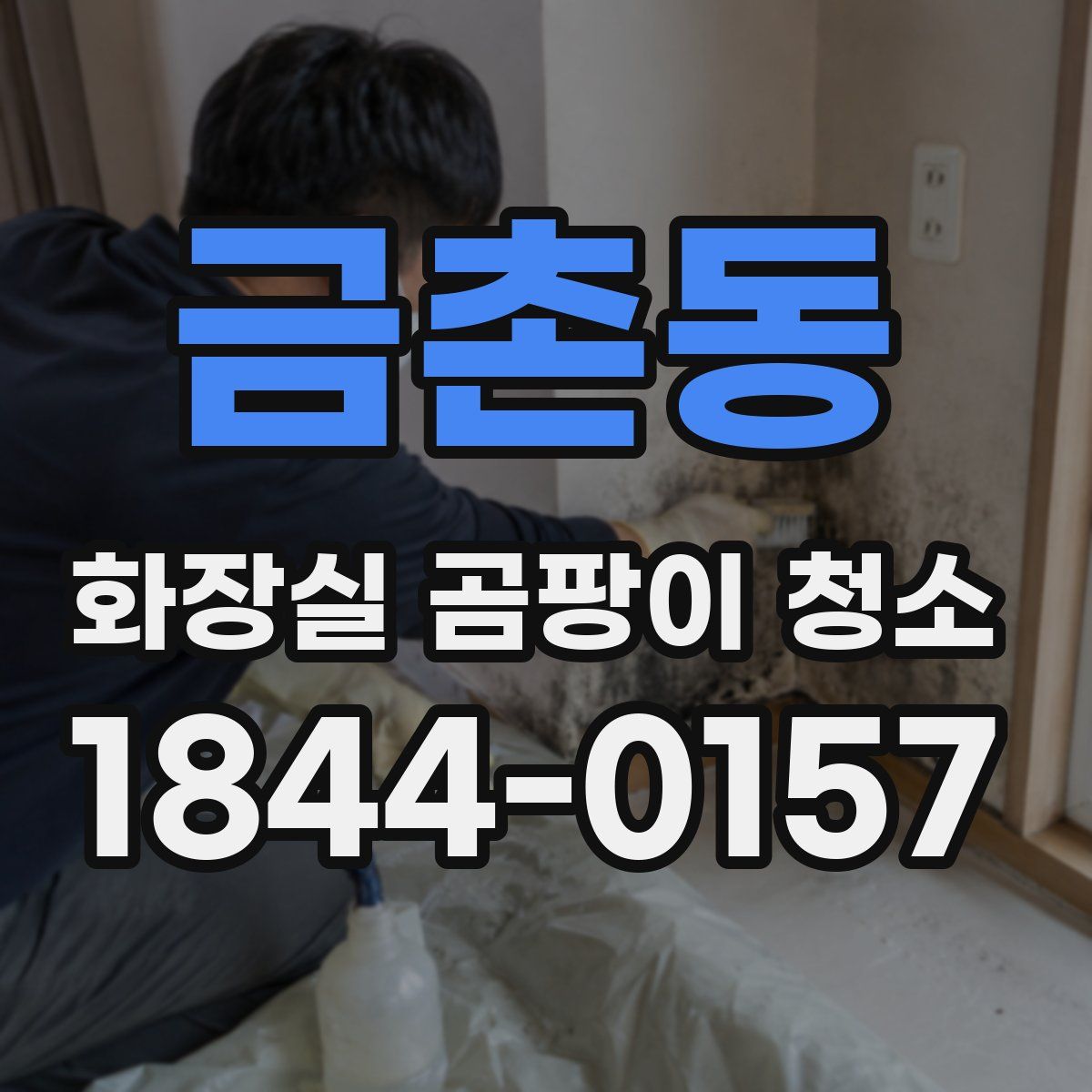 금촌동 화장실 곰팡이 청소