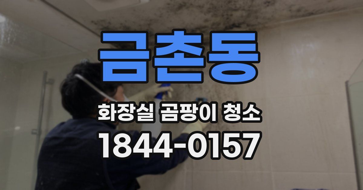 금촌동 화장실 곰팡이 청소