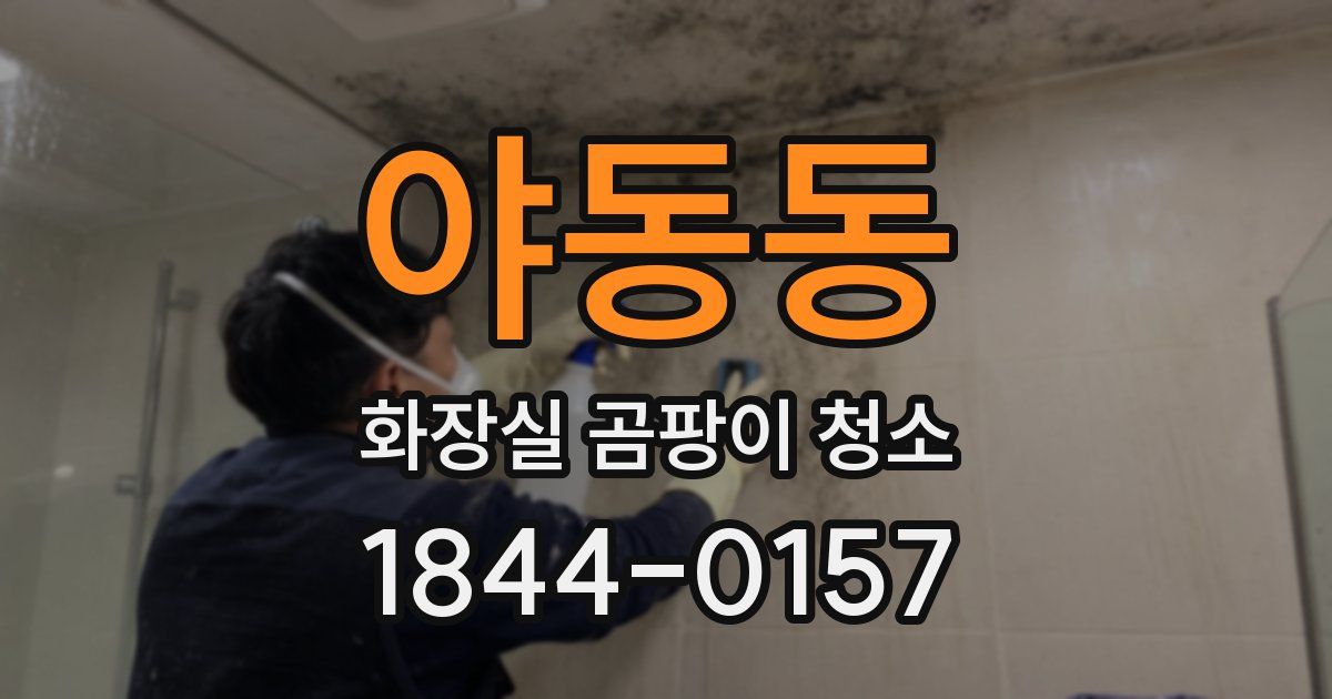 야동동 화장실 곰팡이 청소