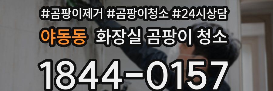 야동동 화장실 곰팡이 청소