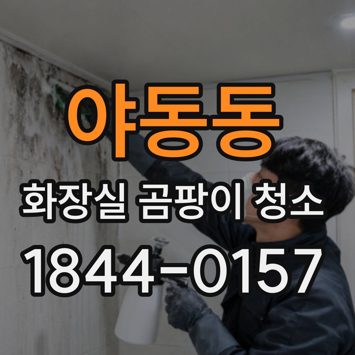야동동 화장실 곰팡이 청소