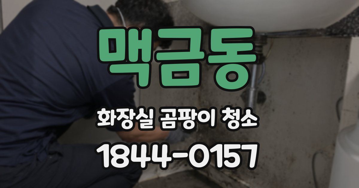 맥금동 화장실 곰팡이 청소