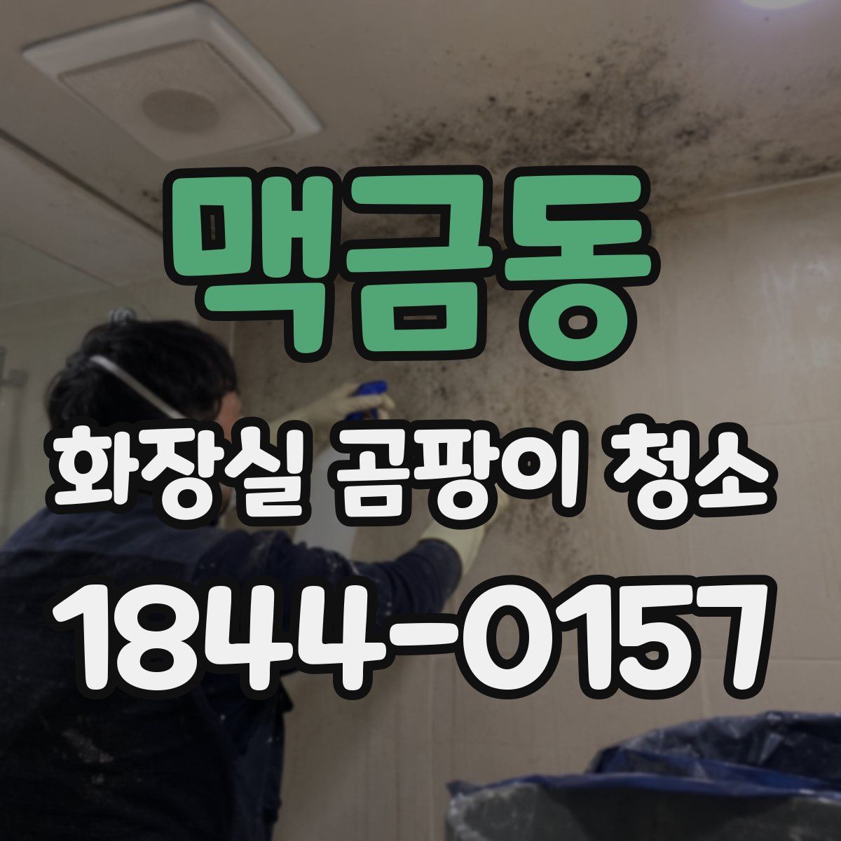 맥금동 화장실 곰팡이 청소