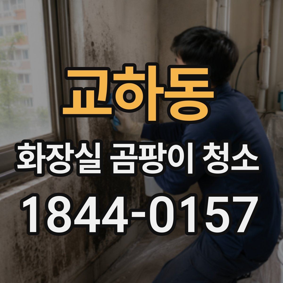 교하동 화장실 곰팡이 청소 천장과 모서리까지 놓치지 않는 점검 포인트