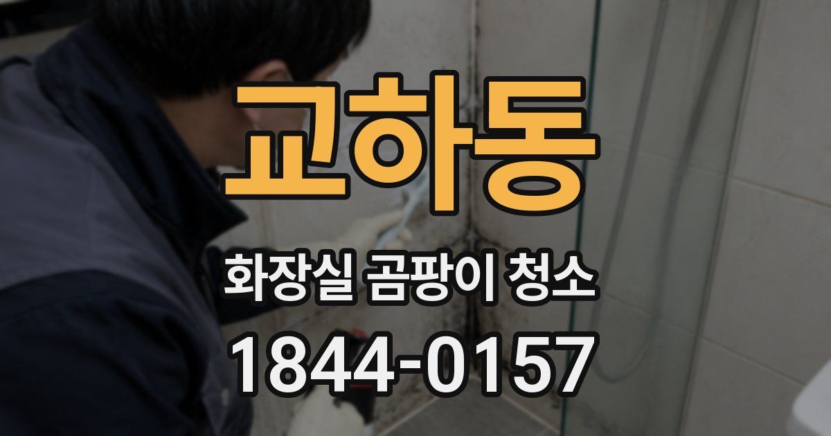 교하동 화장실 곰팡이 청소