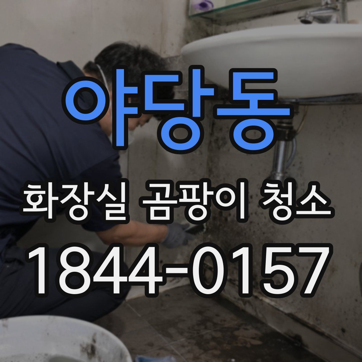 야당동 화장실 곰팡이 청소