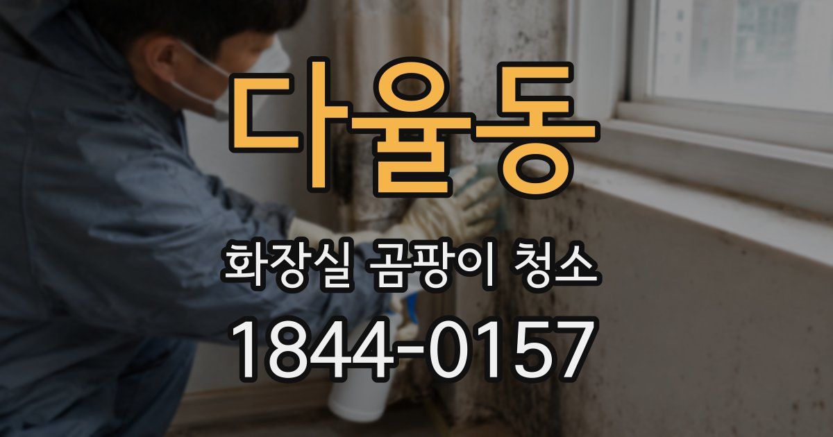 다율동 화장실 곰팡이 청소