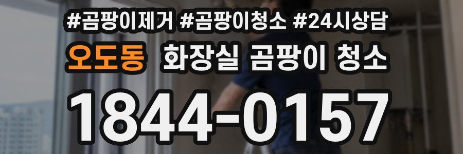 오도동 화장실 곰팡이 청소