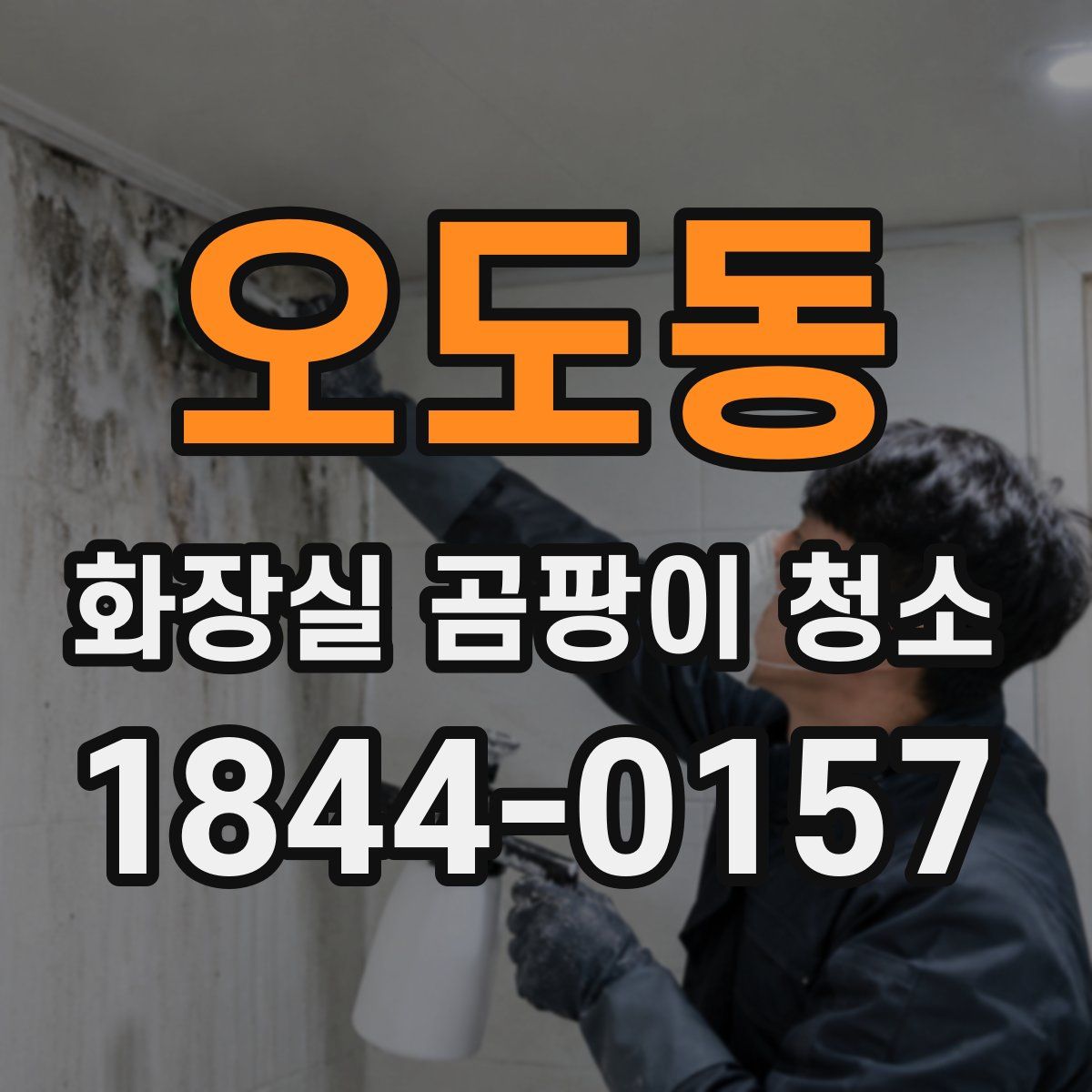 오도동 화장실 곰팡이 청소