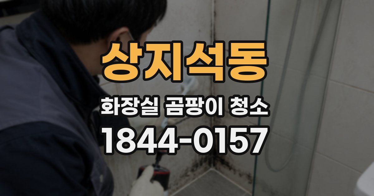 상지석동 화장실 곰팡이 청소
