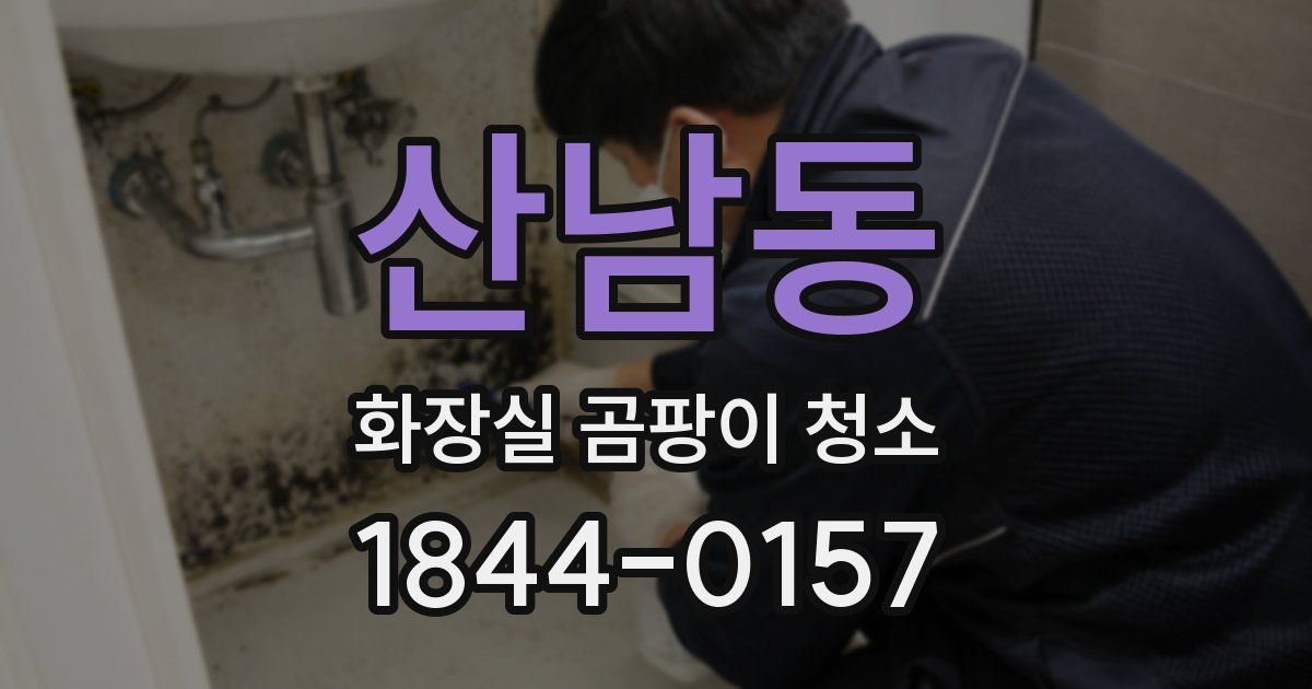 산남동 화장실 곰팡이 청소