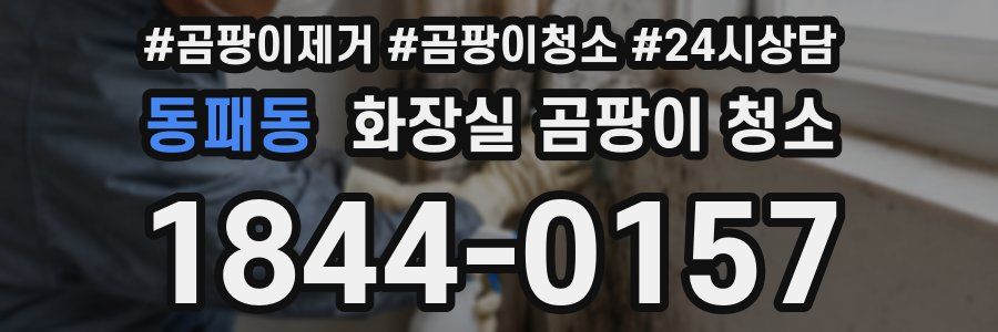 동패동 화장실 곰팡이 청소
