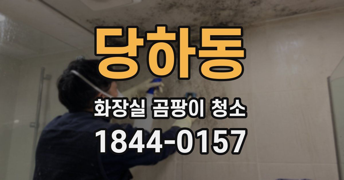 당하동 화장실 곰팡이 청소