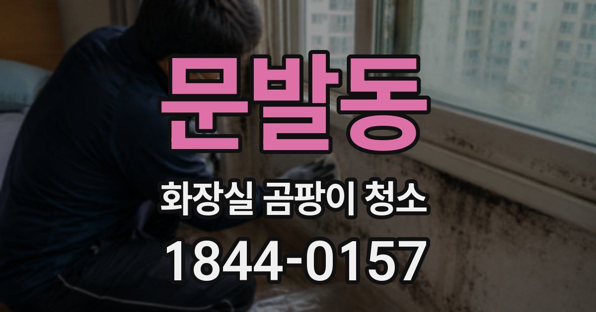 문발동 화장실 곰팡이 청소