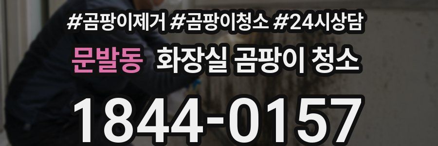 문발동 화장실 곰팡이 청소