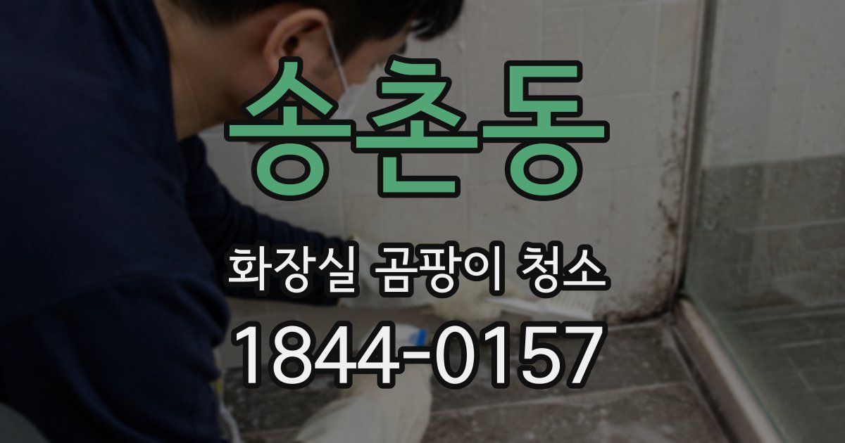 송촌동 화장실 곰팡이 청소
