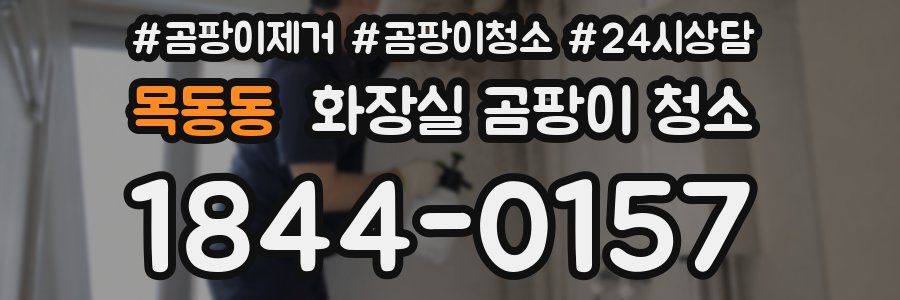 목동동 화장실 곰팡이 청소