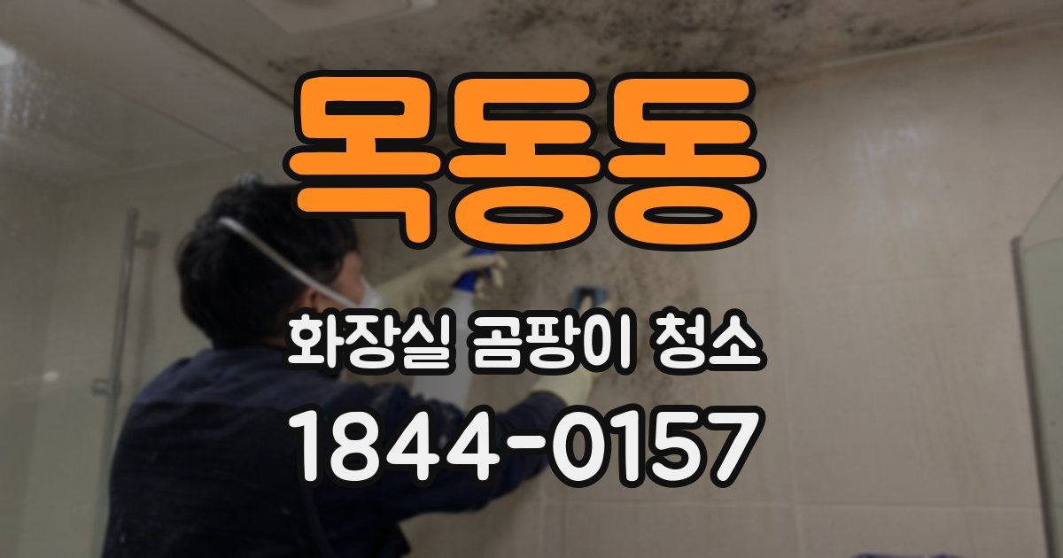 목동동 화장실 곰팡이 청소