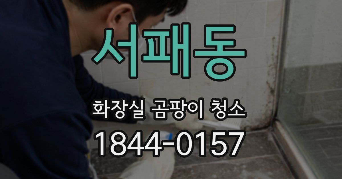 서패동 화장실 곰팡이 청소