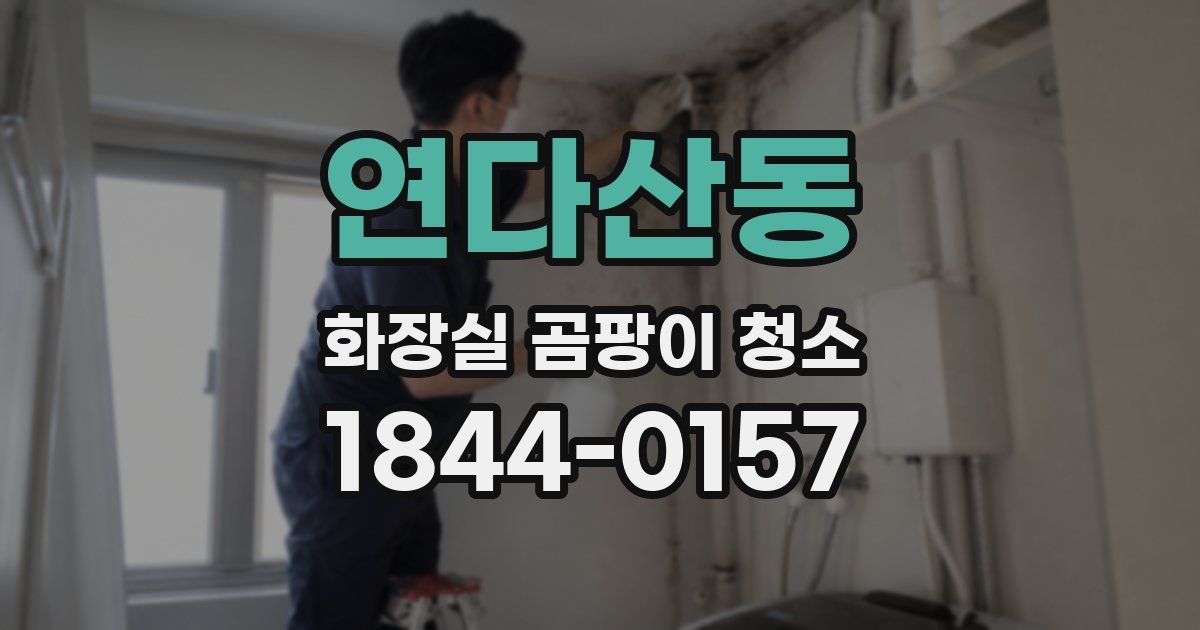 연다산동 화장실 곰팡이 청소