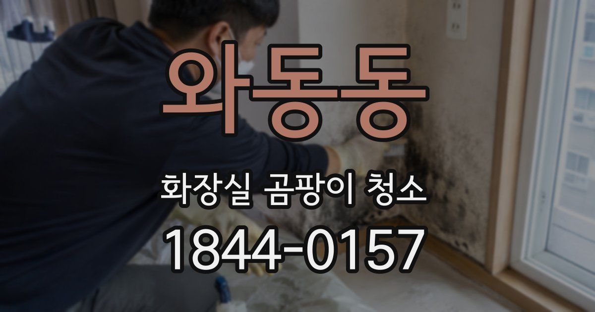 와동동 화장실 곰팡이 청소