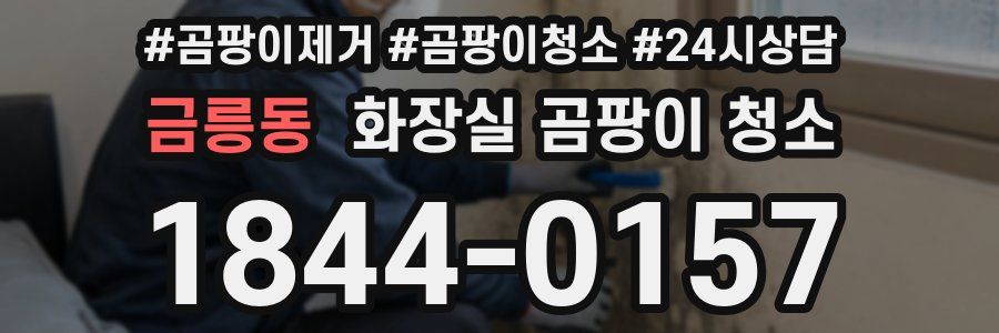 금릉동 화장실 곰팡이 청소