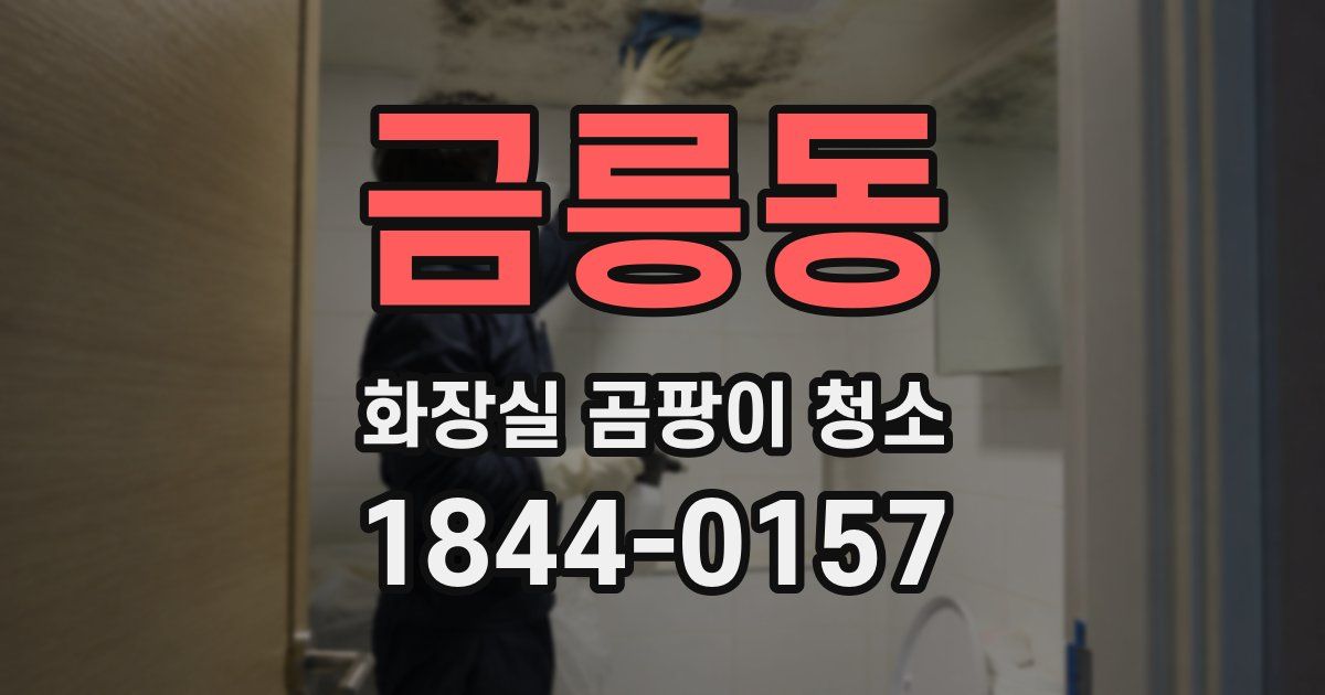 금릉동 화장실 곰팡이 청소