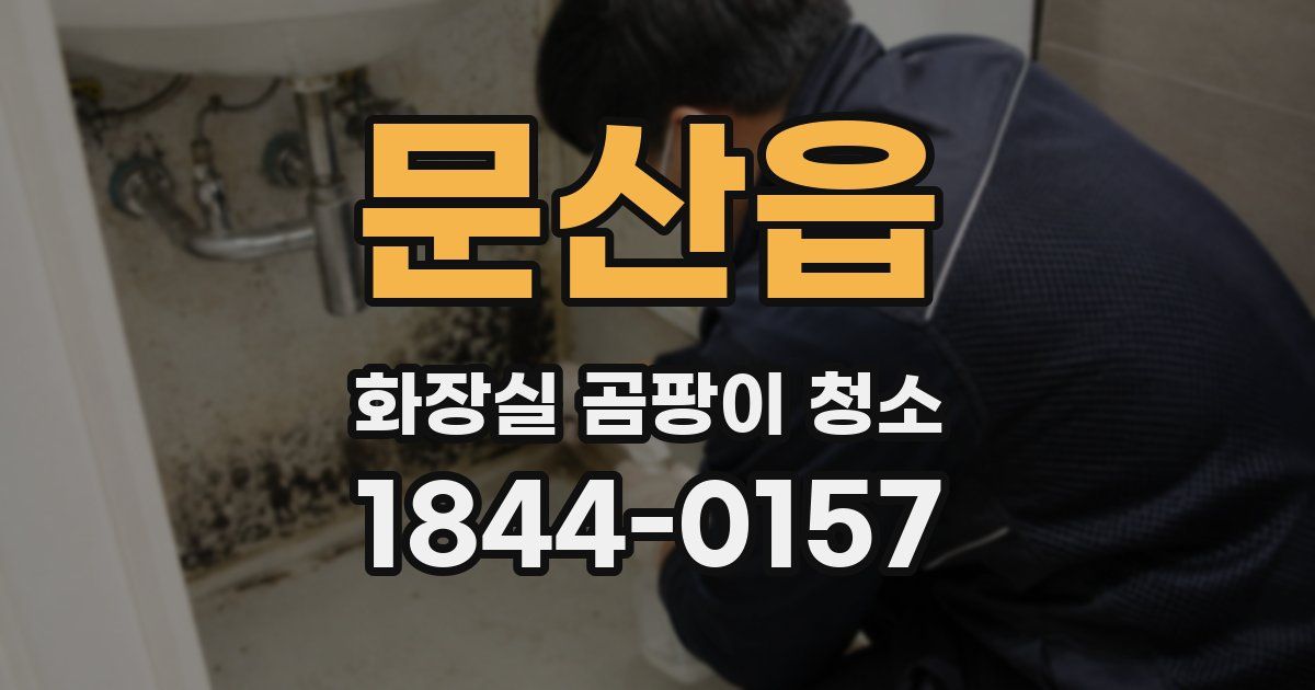 문산읍 화장실 곰팡이 청소