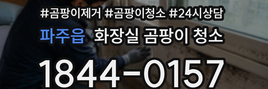 파주읍 화장실 곰팡이 청소