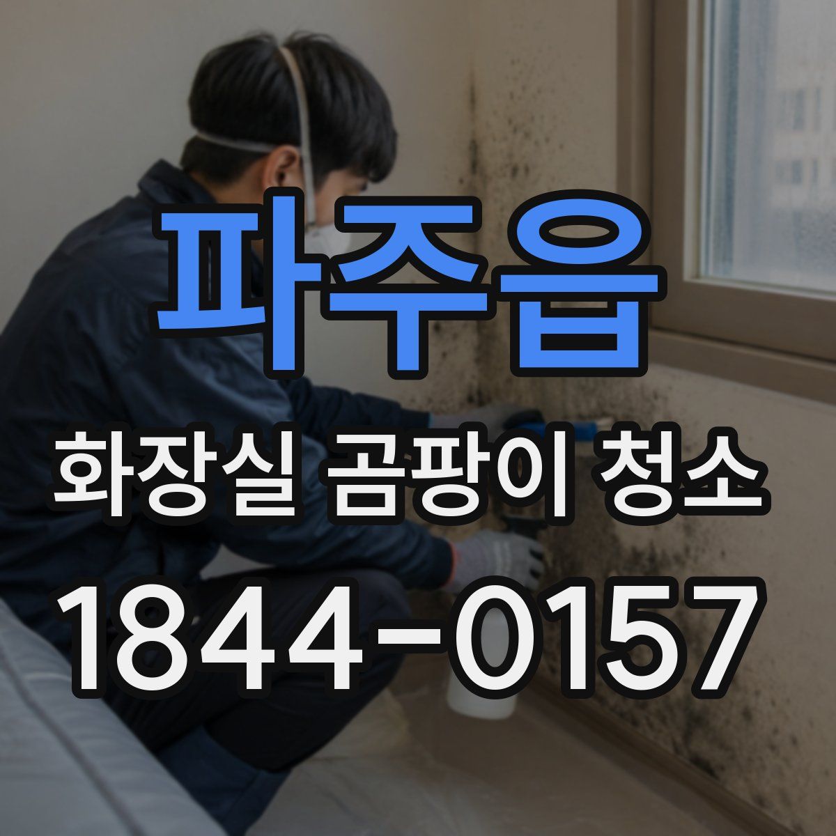 파주읍 화장실 곰팡이 청소