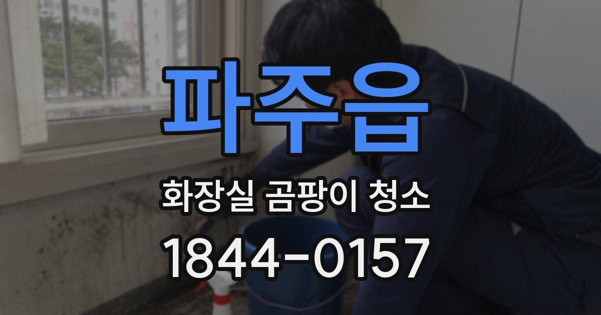 파주읍 화장실 곰팡이 청소