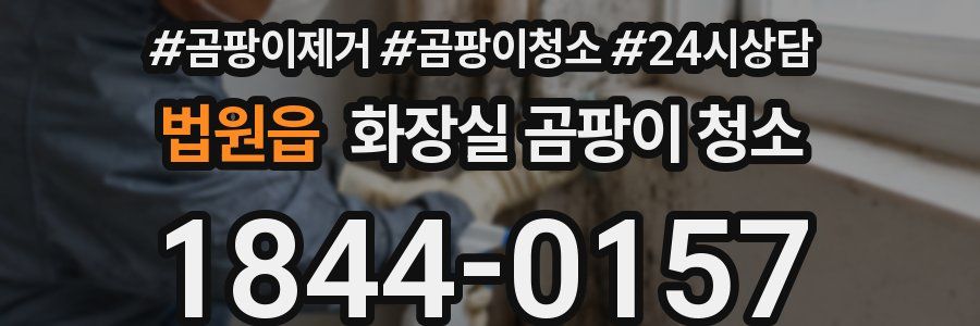 법원읍 화장실 곰팡이 청소