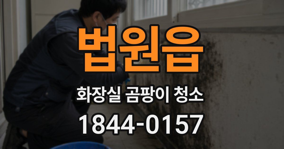 법원읍 화장실 곰팡이 청소