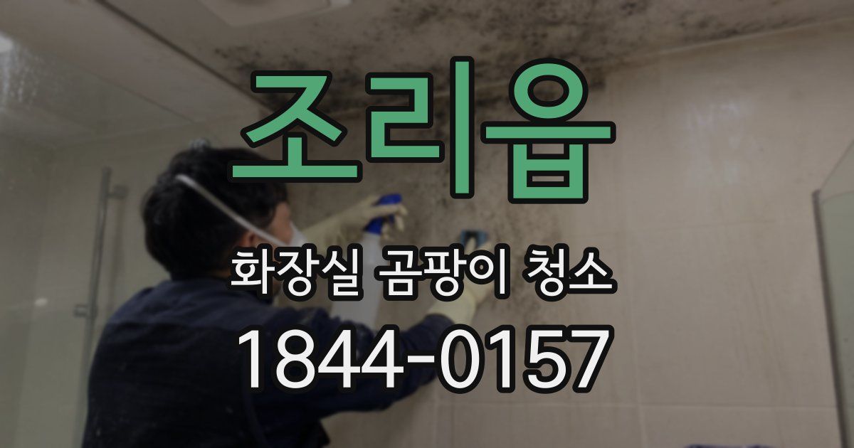 조리읍 화장실 곰팡이 청소