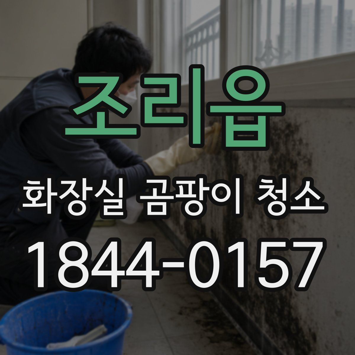 조리읍 화장실 곰팡이 청소