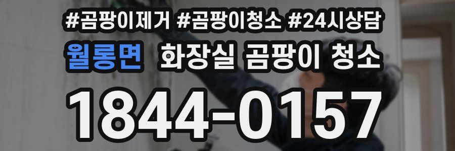 월롱면 화장실 곰팡이 청소