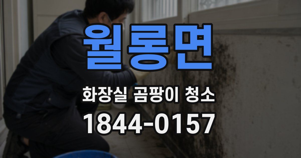 월롱면 화장실 곰팡이 청소