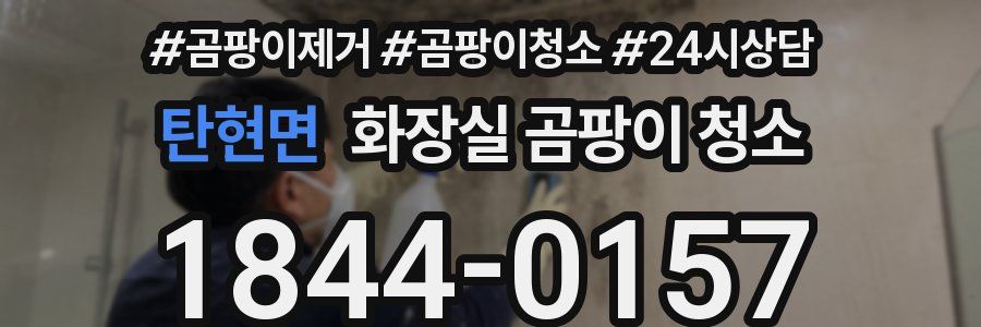 탄현면 화장실 곰팡이 청소