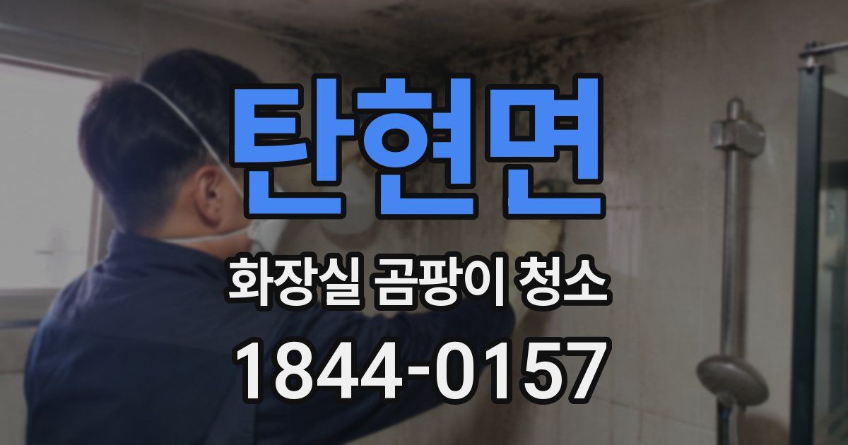 탄현면 화장실 곰팡이 청소