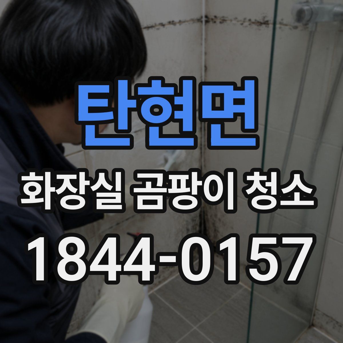 탄현면 화장실 곰팡이 청소