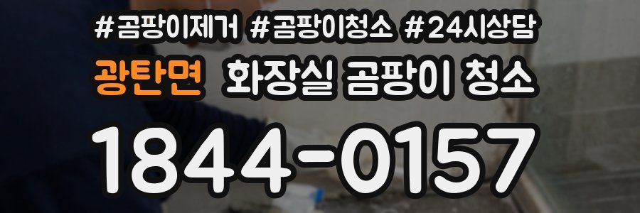 광탄면 화장실 곰팡이 청소