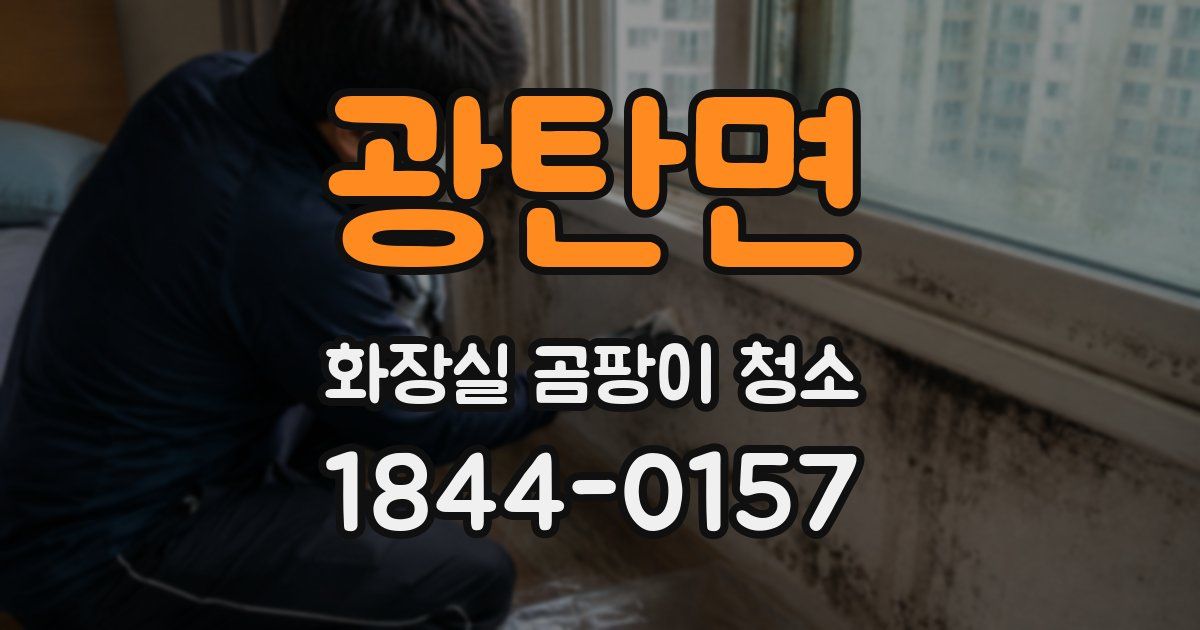 광탄면 화장실 곰팡이 청소