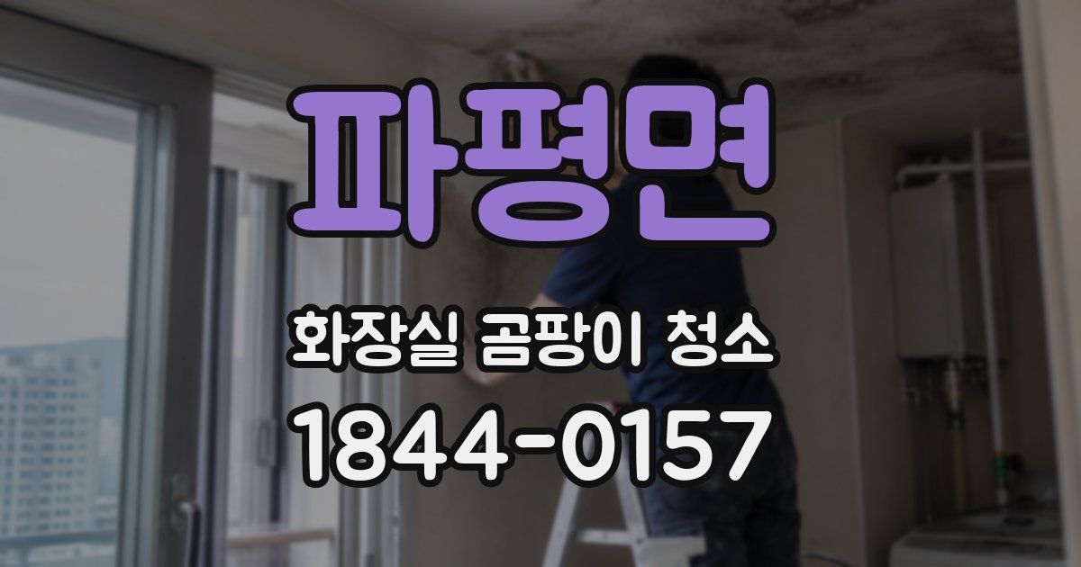 파평면 화장실 곰팡이 청소